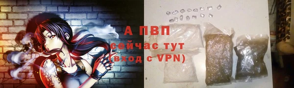 эйфоретик Инта