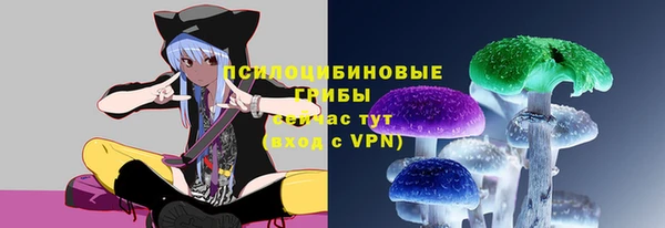 соль курить ск Инсар