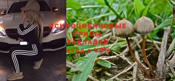 эйфоретик Инта