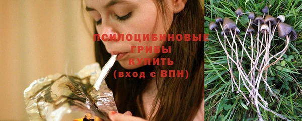соль курить ск Инсар