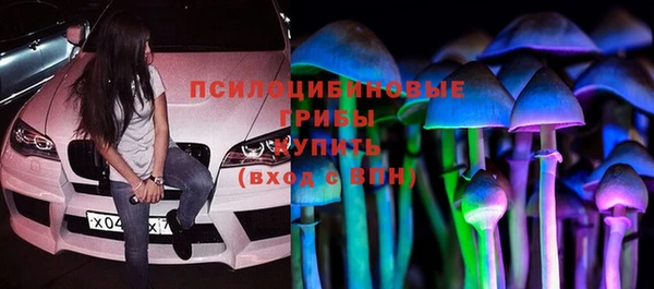 соль курить ск Инсар
