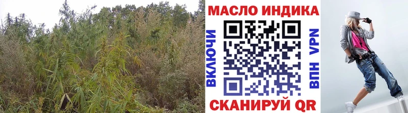 Купить  Малая Вишера  Дистиллят ТГК Wax 