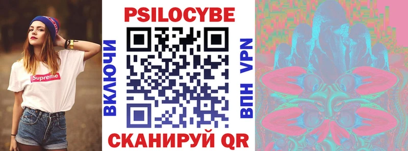 Купить где  Малая Вишера  Псилоцибиновые грибы мицелий 
